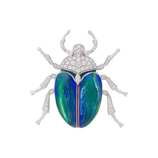 Jeweled beetle insect on a white background