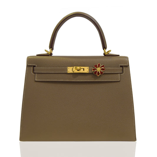 Brown handbag with gold clasp and red flower detail on a white background, collection-preview